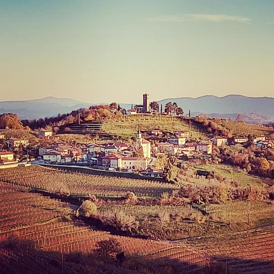 Šmartno z vinogradi pod vasjo
